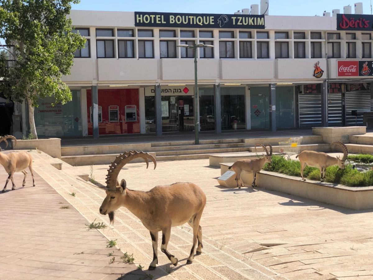 Tzukim Desert Traveler'S Hotel - מלון צוקים Mitzpe Ramon Exterior photo